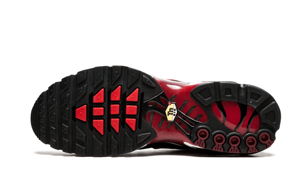 Nike Air Max Plus Black and Red